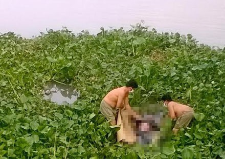 Phát hiện thi thể nam thanh niên nổi trên sông Tiền Nơi phát hiện ra thi thể nam thanh niên.