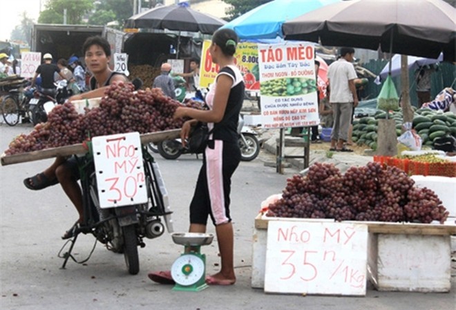 Nho Trung Quốc gắn mác nho Mỹ bán ở vỉa hè 30.000 đồng/kg Nho Trung Quốc gắn mác "nho Mỹ” được bán tràn lan trên thị trường thời gian qua.