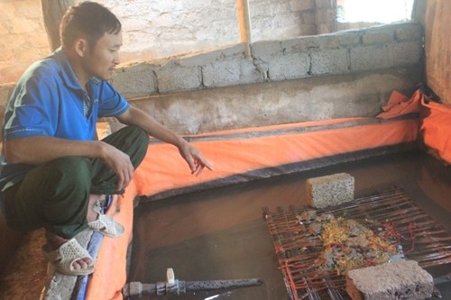 Khốn đốn vì thông tin vỗ béo lươn bằng thuốc tránh thai Thông tin nuôi lươn bằng thuốc tránh thai đang khiến cho người nông dân khốn đốn