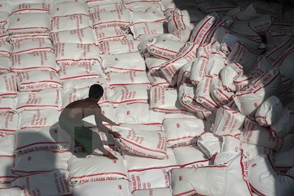 Thái Lan có thể sẽ tạm ngừng hoạt động bán gạo dự trữ Xếp gạo Thái Lan tại nhà máy ở Bangkok. (Nguồn: AFP/TTXVN)