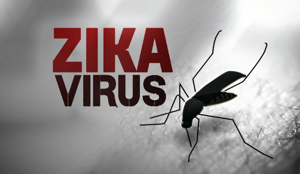 Zika hoành hành ở Singapore, Bộ Y tế họp bàn ứng phó Zika hoành hành ở Singapore, Bộ Y tế họp bàn ứng phó