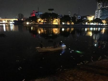 Cá chết hàng loạt trên hồ Hoàng Cầu do sốc nhiệt Cá chết hàng loạt trên hồ Hoàng Cầu do sốc nhiệt