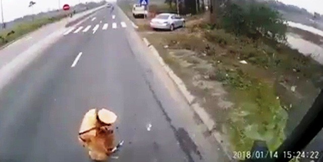 Công an Hà Nam nói gì vụ CSGT giẫm lên vật nghi là tiền? Hình ảnh cảnh sát giao thông Hà Nam gây xôn xao dư luận thời gian vừa qua (ảnh cắt từ clip).