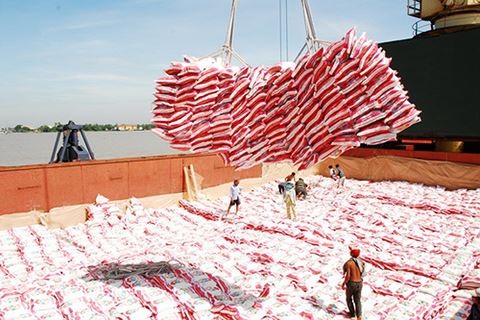 Gạo Việt bất ngờ bứt phá vượt Thái Lan Giá gạo Việt Nam bất ngờ bứt phá, vượt lên Thái Lan
