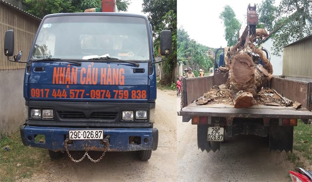 Thuê xe cẩu trộm cây trị giá hàng chục triệu trong nhà dân Chiếc xe cẩu và cây mít được ông Nam chặn lại