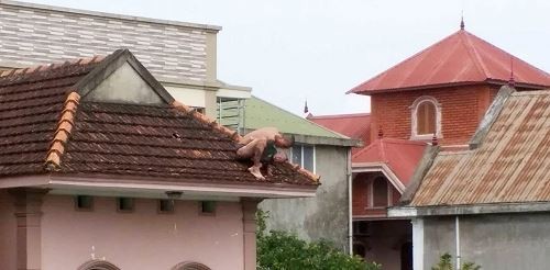 Kẻ ngáo đá thả con trai từ tầng ba xuống Kẻ ngáo đá thả con trai từ tầng ba xuống