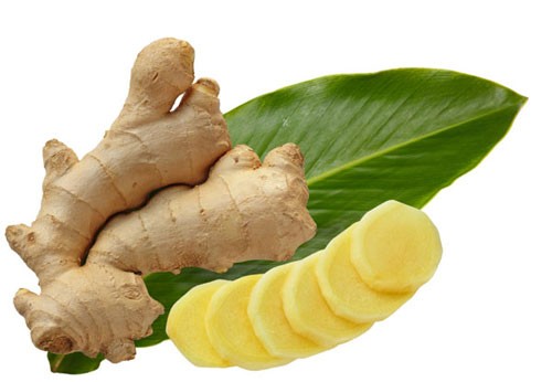 Thảo mộc ngừa say rượu bia ngày Tết Thảo mộc ngừa say rượu bia ngày Tết