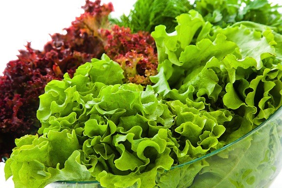 Thực phẩm cấp nước cho cơ thể trong mùa hè Ảnh minh họa