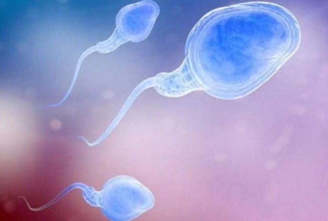 Phương pháp mới chữa trị vô sinh ở nam giới Phương pháp mới chữa trị vô sinh ở nam giới