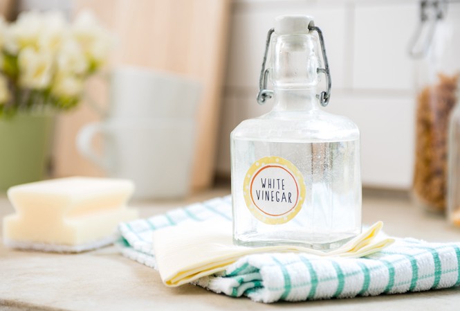 Bạn đã biết bí quyết tận dụng giấm để tẩy rửa trong gia đình? Ảnh minh họa từ Internet