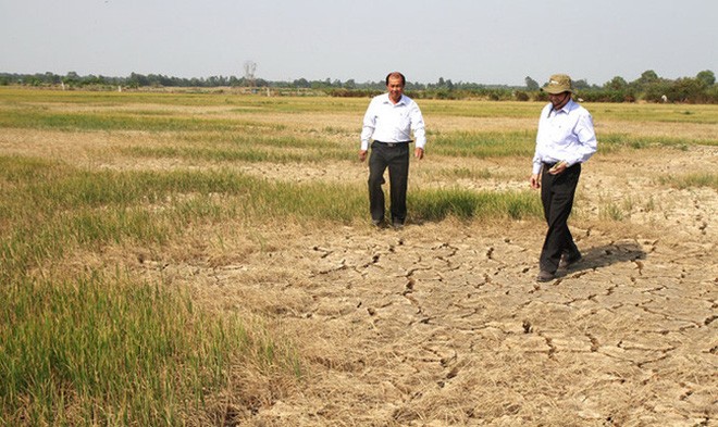 Cần 25.000 tỷ đồng giúp ngành nông nghiệp khắc phục hậu quả của El Nino Cần 25.000 tỷ đồng giúp ngành nông nghiệp khắc phục hậu quả của El Nino