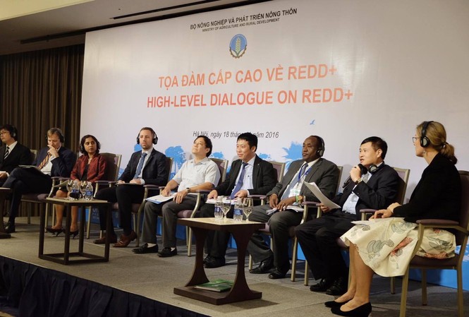 Chuyển mục tiêu có nhiều rừng sang “rừng chất lượng” Chuyển mục tiêu có nhiều rừng sang “rừng chất lượng”