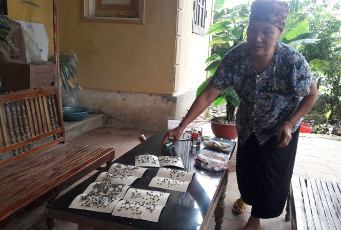 Kinh hãi mảnh đất ruồi nhiều hơn người, đi ngủ phải đeo khẩu trang Kinh hãi mảnh đất ruồi nhiều hơn người, đi ngủ phải đeo khẩu trang