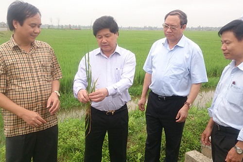 8.000 ha cây trồng ở Quảng Trị đang khô hạn Thứ trưởng Bộ Nông nghiệp Lê Quốc Doanh (thứ 2 từ trái) làm việc tại Quảng Trị. Ảnh: Hoàng Táo