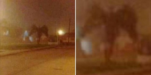 'Ác quỷ dang cánh' ở Mỹ gây sốt mạng xã hội Vật thể kỳ lạ màu đen ở bên đường tại thành phố Phoenix, bang Arizona, Mỹ, hôm 1/1. Ảnh: Facebook