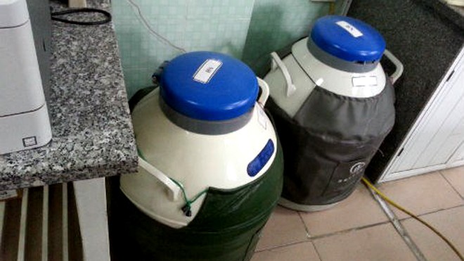 Sinh con nhờ... nước tiểu của chồng Nơi bảo quản tinh trùng sau lọc rửa