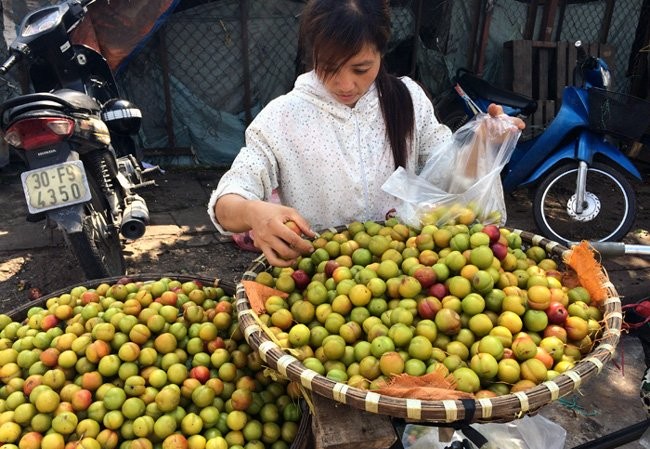 Thị trường Hà Nội: Tràn ngập mận, đào Trung Quốc giả hàng Sapa Mận đào Trung Quốc bày bán tràn lan ở Hà Nội