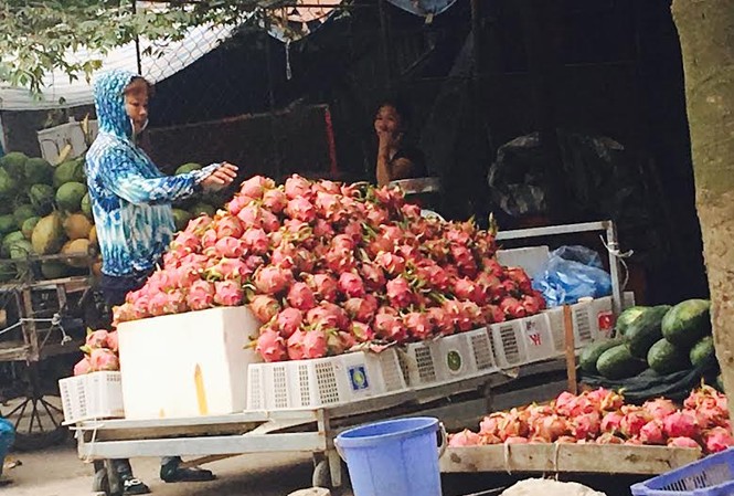 Ra đến Hà Nội, thanh long ruột đỏ đắt gấp 30 lần Thanh long được đổ đống bán la liệt khắp vỉa hè, chợ Hà Nội