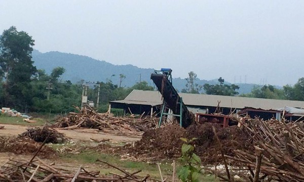 Tái bùng phát nạn gỗ dăm trái phép ở Nghệ An Xưởng gỗ dăm trái phép của công ty Việt Á Nghĩa Đàn công khai hoạt động