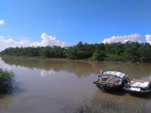 Dân nhìn thấy nghi phạm giết 4 bà cháu gần rừng ngập mặn Khu rừng ngập mặn, nơi nghi vấn Dũng đang lẩn trốn. Ảnh: Minh Cương