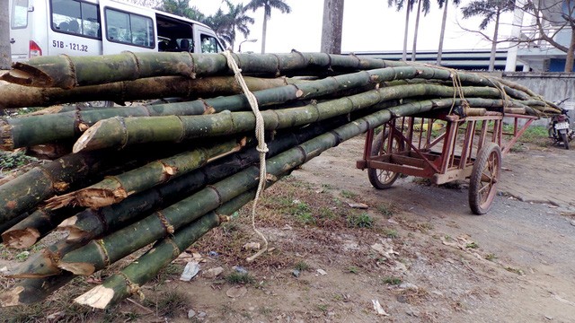 Hà Nội: Đề xuất tịch thu xe chở hàng cồng kềnh Chiếc xe máy siêu trường bị Đội CSGT số 11 (Phòng PC67) kiểm tra, xử lý