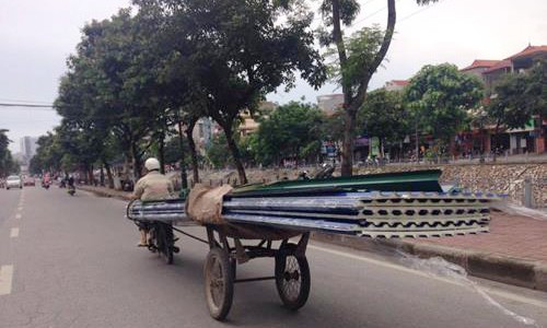 Người phụ nữ tử vong trên đường phố Hà Nội không phải do tôn cứa cổ Ảnh minh họa: Internet