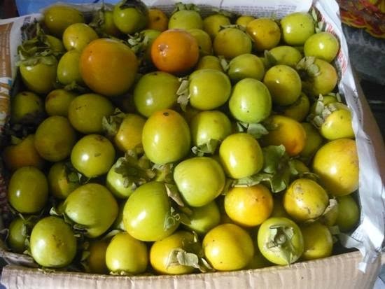 Dân công sở bán hồng giòn kiếm 3 triệu đồng/ngày Các loại hồng giòn đặc sản của Cao Bằng, Đà Lạt, Yên Bái được rao bán tràn lan trên mạng xã hội