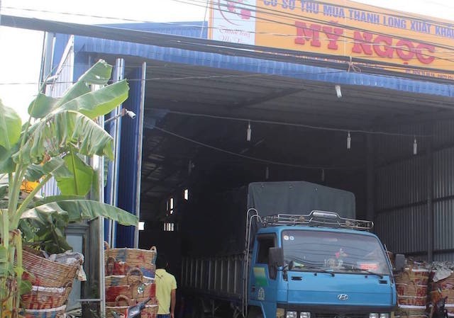 Ngáo đá mang lựu đạn đồ chơi đi cướp xe công an Cơ sở thu mua thanh long, nơi xảy ra vụ cướp