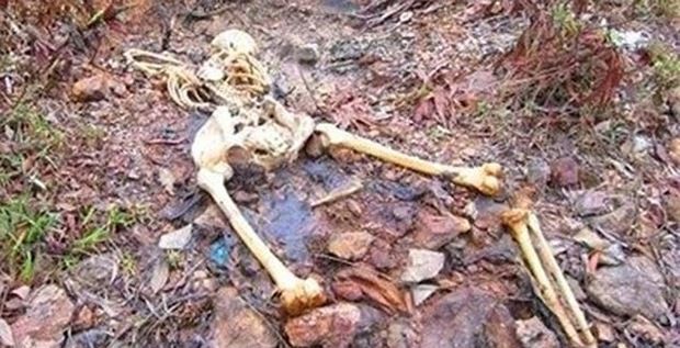 Giết người tình, chôn xác phi tang khi phát hiện có thai Hình chỉ có tính minh họa