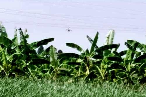 Hàng trăm công an, người dân vây bắt nghi can cướp trong đầm lầy Chiếc flycam bị vướng vào dây điện