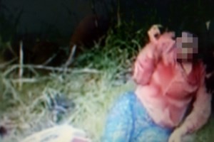 Chồng đâm vợ giữa đường rồi tự tử Hiện trường vụ việc. Ảnh cắt từ clip