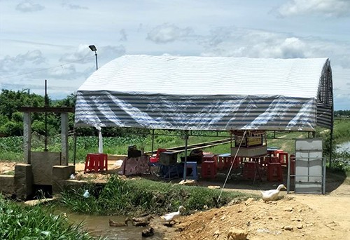 Bộ xương người dưới khúc sông phủ bèo Khu vực nơi phát hiện bộ xương người