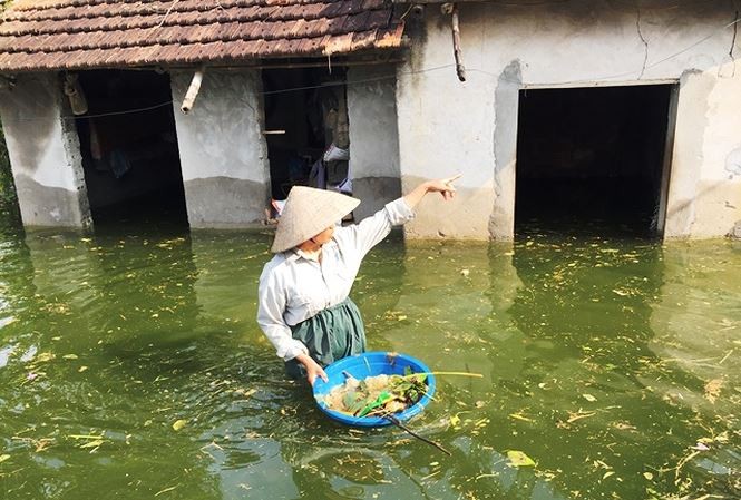 Lũ tái diễn trên sông Bùi, Chương Mỹ đối mặt ngập úng nghiêm trọng Lũ tái diễn trên sông Bùi, Chương Mỹ đối mặt ngập úng nghiêm trọng