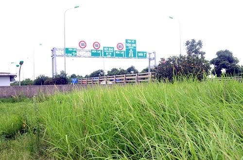 Hà Nội sắp đấu thầu việc trồng cây, cắt cỏ Sau một tháng dừng cắt cỏ, Hà Nội sắp tổ chức đấu thầu công tác chăm sóc, duy tu cây xanh, thảm cỏ