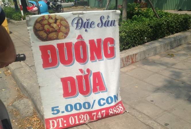 Cấm mặc cấm, đuông dừa vẫn bày bán vô tư trên vỉa hè Đuông dừa dù bị cấm vẫn bày bán công khai ở nhiều tuyến đường Sài Gòn