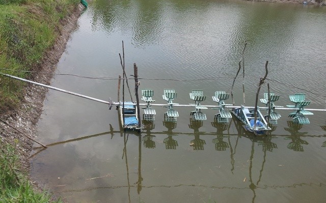 Đến gần máy sục khí nuôi tôm, người đàn ông bị cuốn mất 'của quý' Hệ thống quạt khí trong ao tôm tiềm ẩn nhiều nguy hiểm