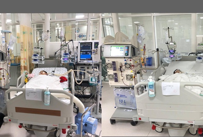 Bị ong vò vẽ tấn công, 2 người chết, 3 người nguy kịch Bị ong vò vẽ tấn công, 2 người chết, 3 người nguy kịch