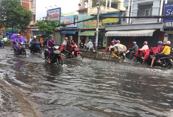 Những bệnh hô hấp thường gặp vào thời điểm giao mùa ảnh minh họa