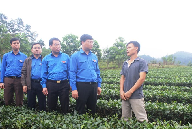 Bí thư thứ nhất T.Ư Đoàn thăm, tặng quà đội viên Tổng đội TNXP - XDVKT Hà Tĩnh Đoàn công tác khảo sát mô hình kinh tế của đội viên Tổng đội TNXP - XDVKT mới Tây Sơn, Hương Sơn, Hà Tĩnh