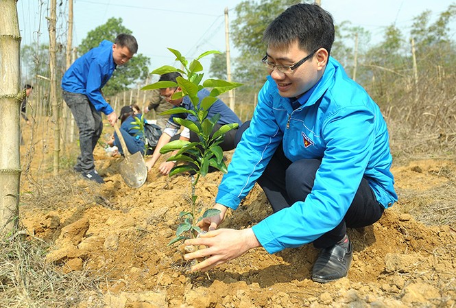 Nhiều phần quà Tết tặng học sinh khó khăn Hòa Bình Nhiều phần quà Tết tặng học sinh khó khăn Hòa Bình