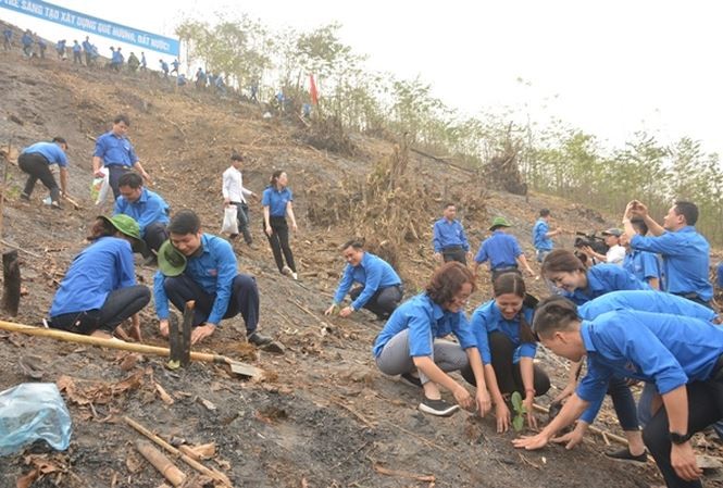 Hàng chục nghìn ĐVTN được tư vấn hướng nghiệp, hỗ trợ kỹ thuật, vốn Tuổi trẻ Yên Bái tham gia trồng cây trong Tháng Thanh niên 2018