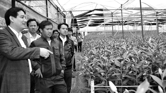 Bí thư thứ nhất T.Ư Đoàn biểu dương thanh niên sản xuất giỏi Tham quan mô hình sản xuất hoa của thanh niên ở TP Đà Lạt
