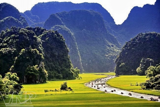 Báo Italy ca ngợi vẻ đẹp của đất nước Việt Nam Những đồng lúa chín vàng dọc đường vào khu Tam Cốc-Bích Động. (Ảnh: Đinh Công Hoan/Báo ảnh Việt Nam)