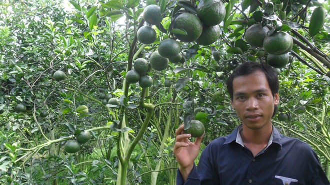 Tỷ phú cam sành xây dựng nông thôn mới Anh Lộc bên vườn cam trĩu quả của mình. ẢNH: HÒA HỘI