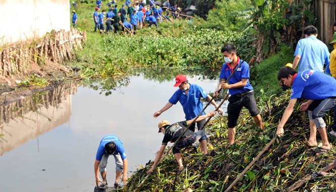 Lan tỏa “Mùa hè xanh” ở TPHCM Hoạt động sinh viên tình nguyện tại TPHCM