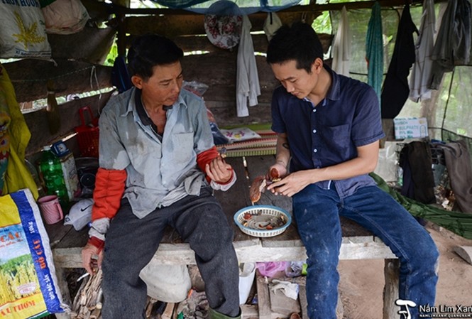 Những cây nấm lim xanh tự nhiên anh Thức mới hái trong rẫy