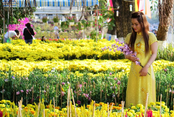 Chợ hoa kiểng Tết Cà Mau đắt khách Chợ hoa kiểng Tết Cà Mau đắt khách