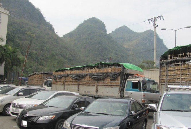Hàng trăm xe hoa quả ùn tắc tại cửa khẩu Tân Thanh Hàng trăm xe hoa quả ứ đọng tại cửa khẩu Tân Thanh. Ảnh: Duy Chiến