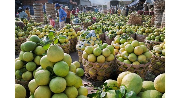 Thị trường trái cây Việt: Đích ngắm xuất khẩu 2 tỷ USD Thị trường trái cây Việt: Đích ngắm xuất khẩu 2 tỷ USD