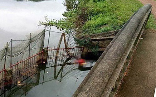 Thi thể đôi nam nữ nổi trên hồ cá Hiện trường sự việc. Ảnh: Trung Nguyễn.
